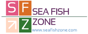  SeaFishZone